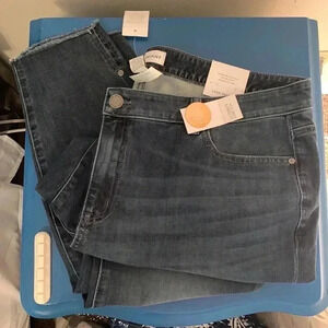 Layne Bryant High Rise Skinny Jean Flex Magic Waistband